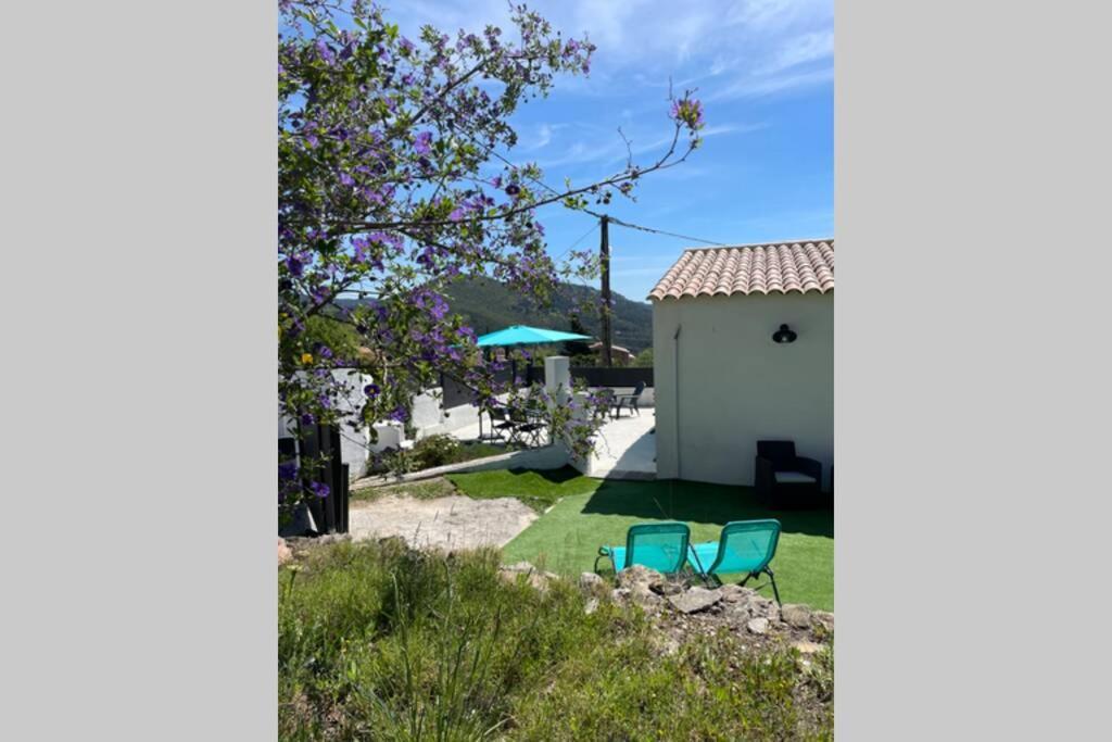 Maison Avec Jardin, Parking Entre Mer Et Montagne Le Revest-le-Eaux エクステリア 写真