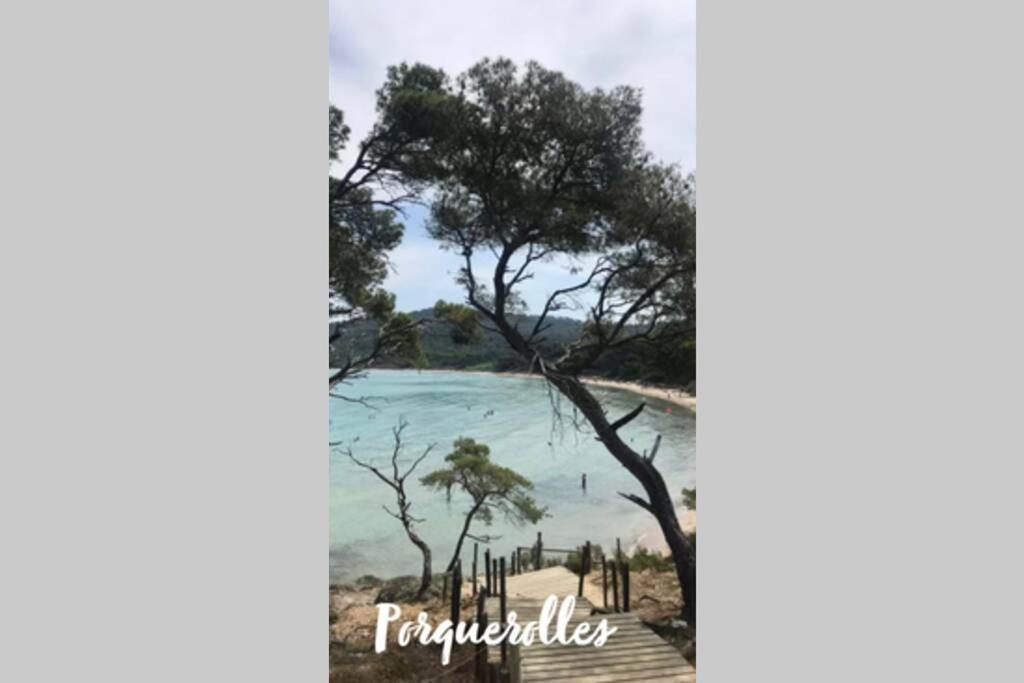 Maison Avec Jardin, Parking Entre Mer Et Montagne Le Revest-le-Eaux エクステリア 写真